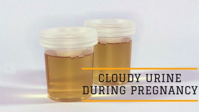 Cloudy Urine During Pregnancy My Postpartum Wellness 